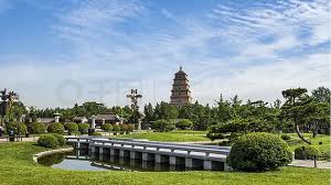 FIFA2026官方网站入口 平湖市园林绿化公司